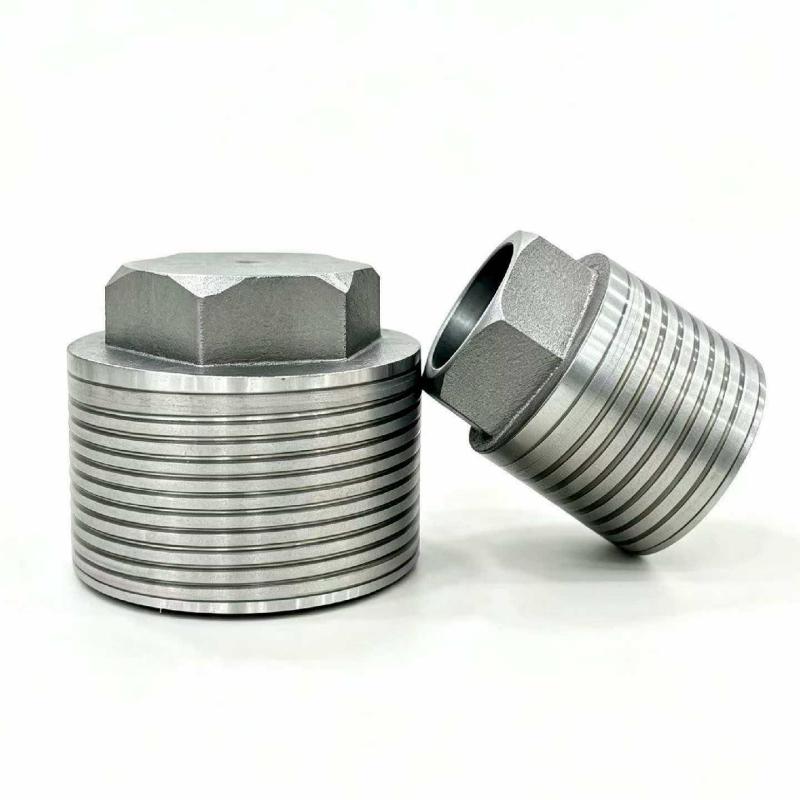 Ceramic plunger tip